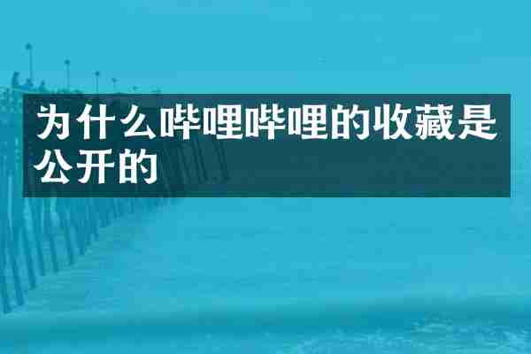 为什么哔哩哔哩的收藏是公开的