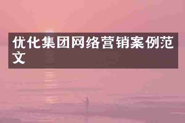 优化集团网络营销案例范文