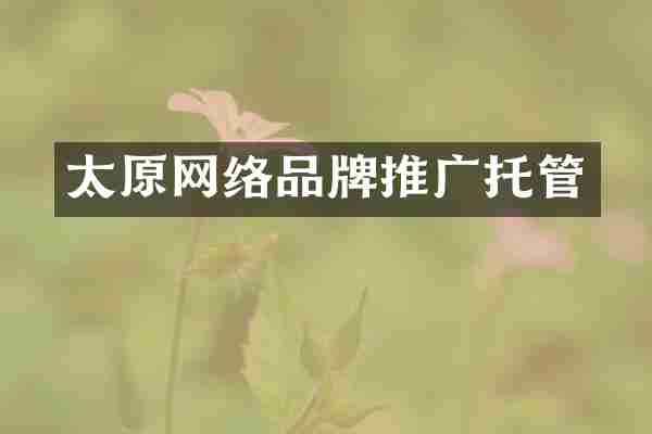 太原网络品牌推广托管
