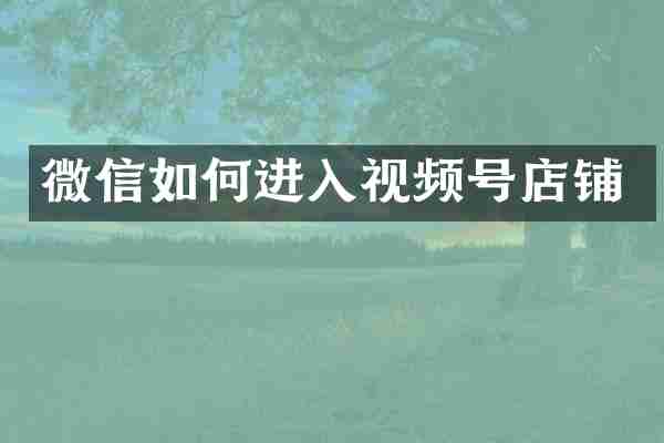 微信如何进入视频号店铺