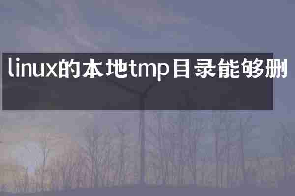 linux的本地tmp目录能够删吗