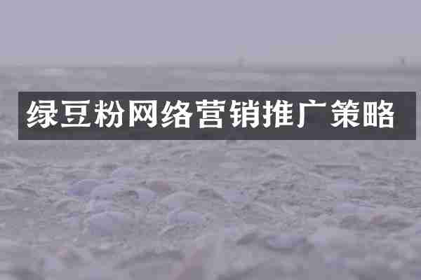绿豆粉网络营销推广策略