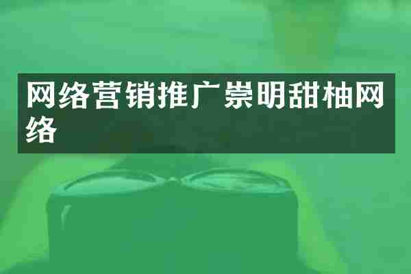 网络营销推广崇明甜柚网络