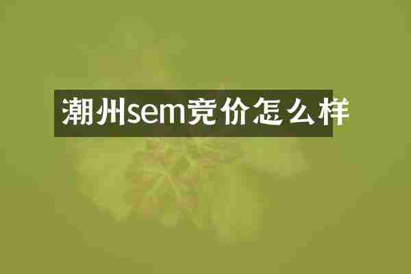 潮州sem竞价怎么样