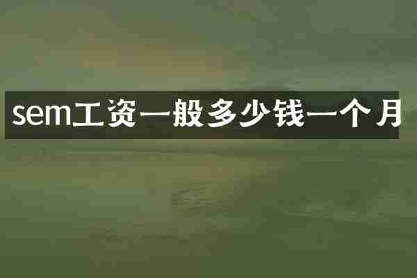 sem工资一般多少钱一个月