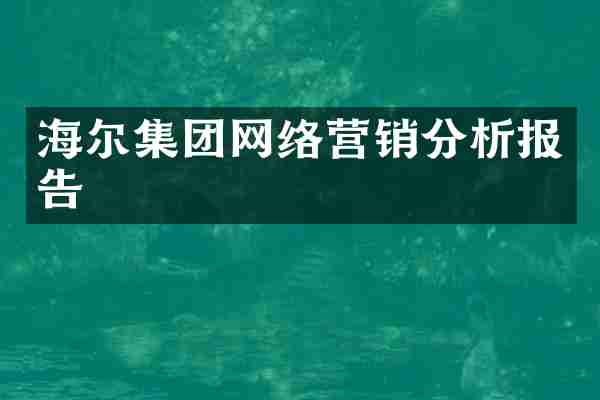 海尔集团网络营销分析报告
