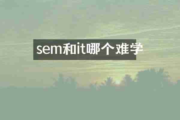 sem和it哪个难学