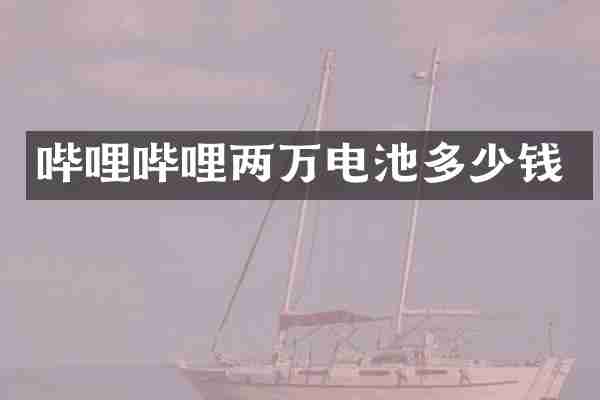 哔哩哔哩两万电池多少钱
