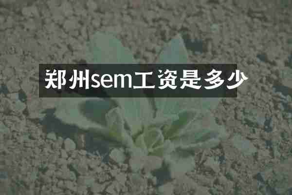 郑州sem工资是多少