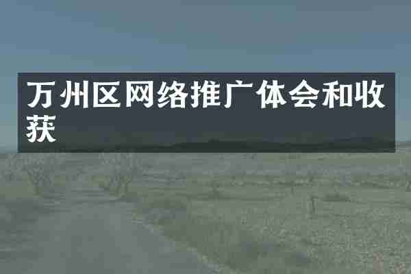 万州区网络推广体会和收获