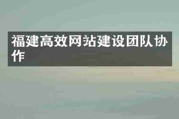 福建高效网站建设团队协作