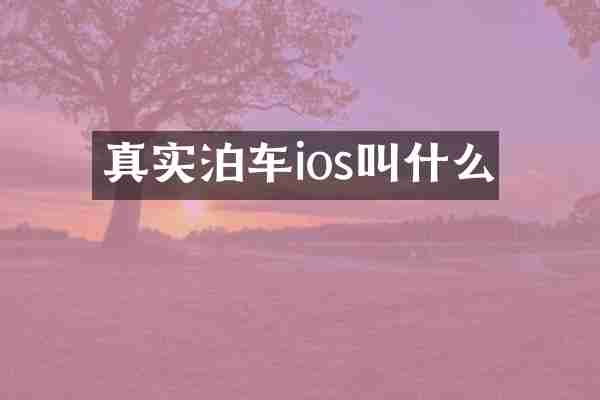 真实泊车ios叫什么