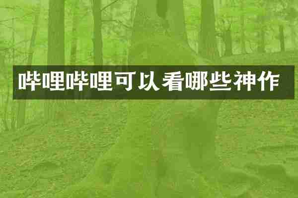 哔哩哔哩可以看哪些神作