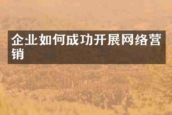 企业如何成功开展网络营销