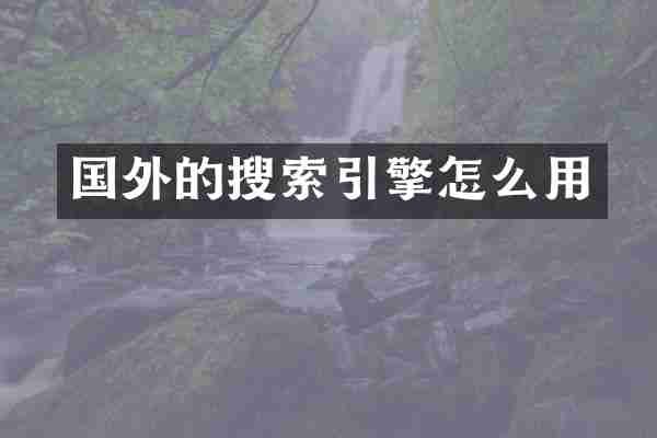 国外的搜索引擎怎么用