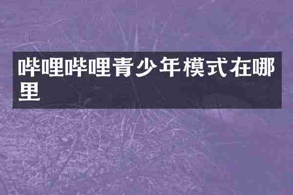 哔哩哔哩青少年模式在哪里