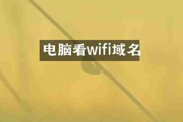 电脑看wifi域名