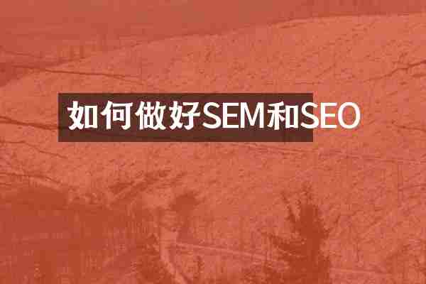如何做好SEM和SEO