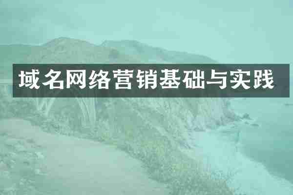 域名网络营销基础与实践
