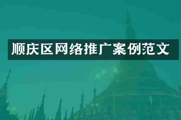 顺庆区网络推广案例范文