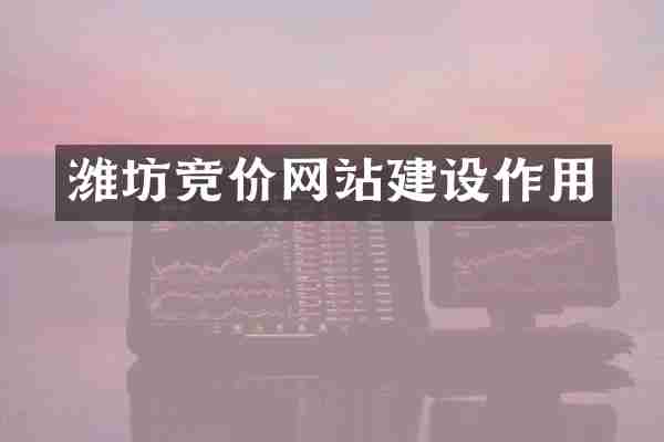 潍坊竞价网站建设作用