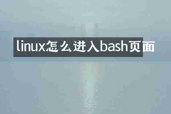 linux怎么进入bash页面