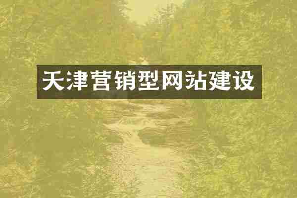 天津营销型网站建设