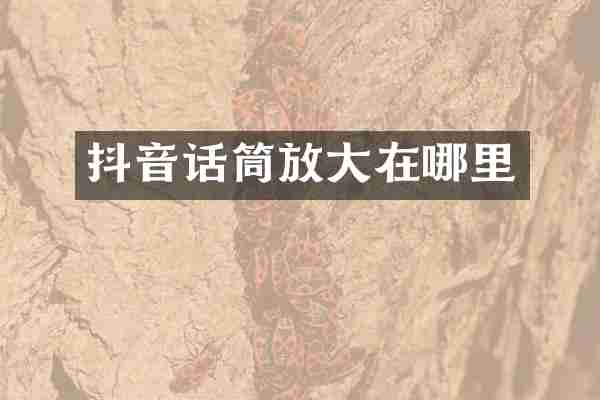 抖音话筒放大在哪里