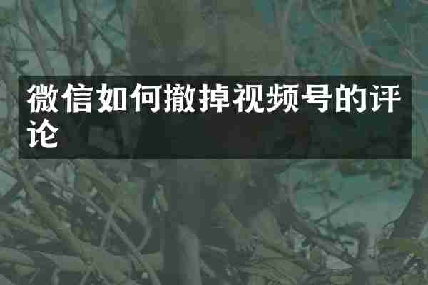 微信如何撤掉视频号的评论