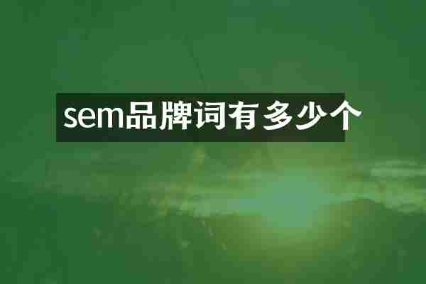 sem品牌词有多少个
