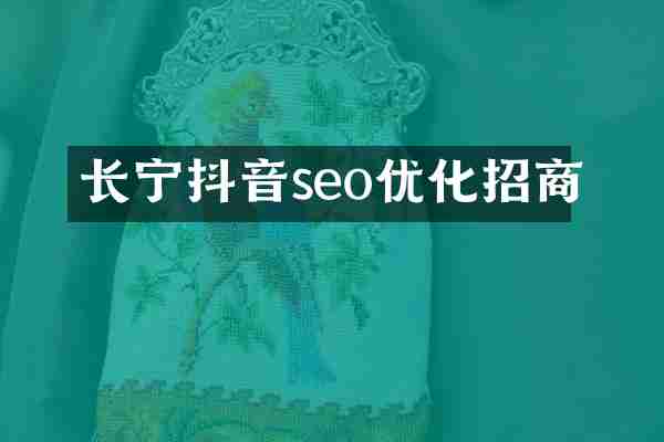 长宁抖音seo优化招商