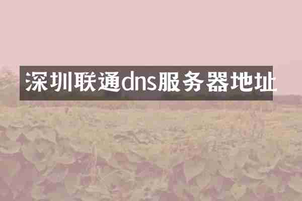 深圳联通dns服务器地址