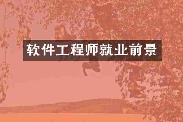 软件工程师就业前景