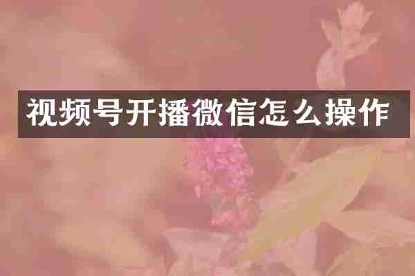 视频号开播微信怎么操作
