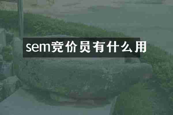 sem竞价员有什么用