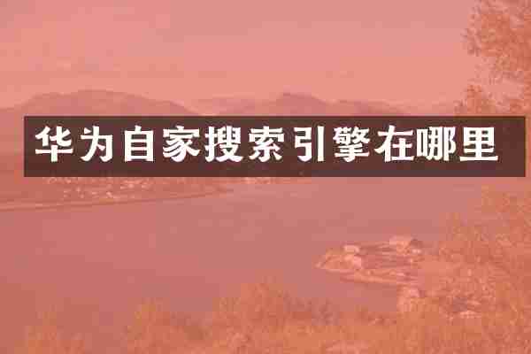 华为自家搜索引擎在哪里