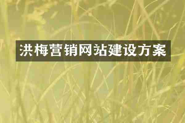 洪梅营销网站建设方案