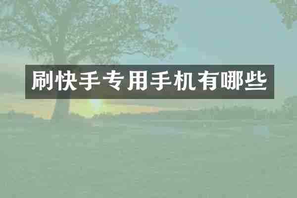 刷快手专用手机有哪些