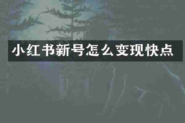 小红书新号怎么变现快点