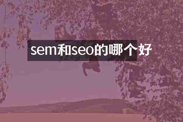 sem和seo的哪个好