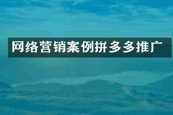网络营销案例拼多多推广