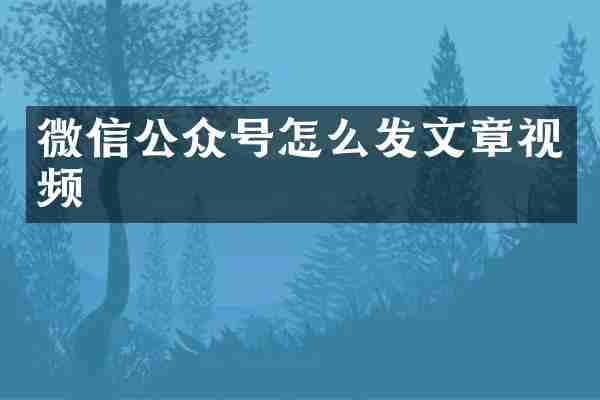 微信公众号怎么发文章视频
