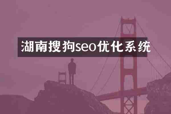 湖南搜狗seo优化系统