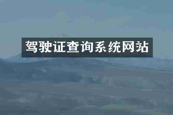 驾驶证查询系统网站