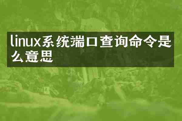 linux系统端口查询命令是什么意思