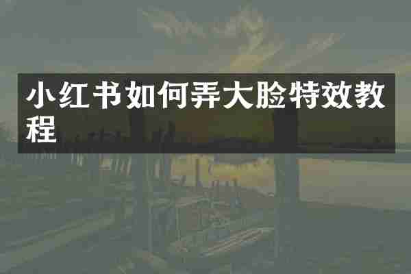 小红书如何弄大脸特效教程