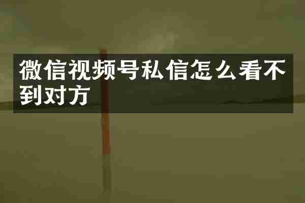 微信视频号私信怎么看不到对方