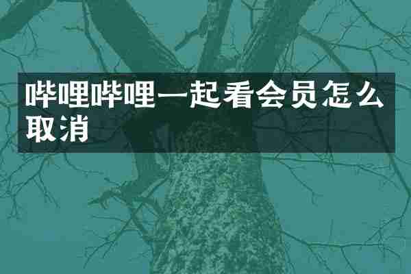 哔哩哔哩一起看会员怎么取消