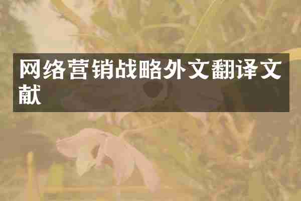 网络营销战略外文翻译文献