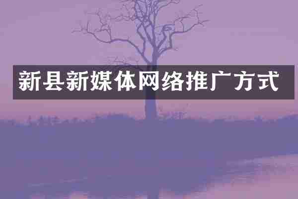 新县新媒体网络推广方式